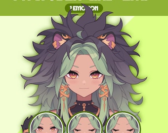Female PNGTuber Model | Premade PNGTuber Girl | VeadoTube Model | Cute PNG Tuber Model | Vtuber Model, Twitch Avatar, GIFTuber, F12 - Emi
