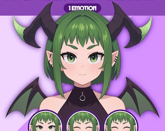 Female PNGTuber Model | Premade PNGTuber Girl | VeadoTube Model | Cute PNG Tuber Model, Vtuber Model, Twitch Avatar, GIFTuber, F39 - Chinami