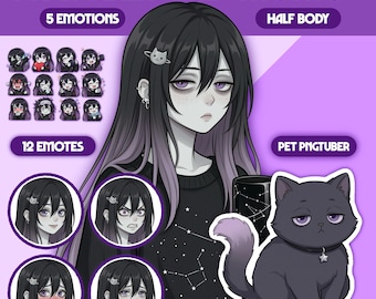 Female PNGTuber Model | Premade PNGTuber Girl | VeadoTube Model | Cute PNG Tuber Model | Vtuber Model, Twitch Avatar, GIFTuber, TF01 - Momo