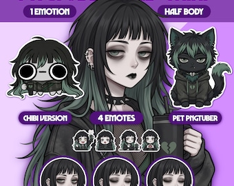 Female PNGTuber Model | Premade PNGTuber Girl | VeadoTube Model | Cute PNG Tuber Model | Vtuber Model, Twitch Avatar, GIFTuber, F108 - Miki