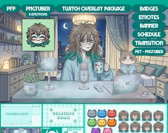 Female PNGTuber Model | Premade Vtuber Girl Model | Twitch Overlay Bundle, Sub/Bit Badges, Emotes, Alerts, Panels, Transition, TF03 - Hoshi