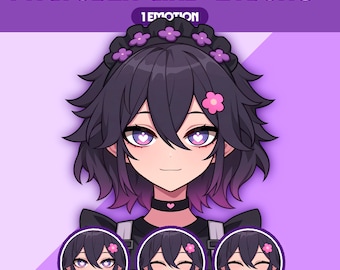 Female PNGTuber Model | Premade PNGTuber Girl | VeadoTube Model | Cute PNG Tuber Model | Vtuber Model, Twitch Avatar, GIFTuber, F34 - Etsuko