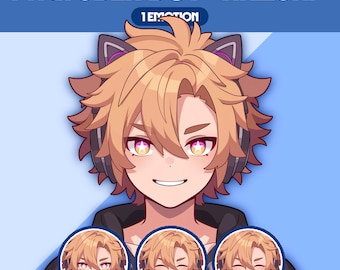 Male PNGTuber Model | Premade PNGTuber Male | VeadoTube Model | Cute PNG Tuber Model | Vtuber Model, Twitch Avatar, GIFTuber, M32 - Kazuki