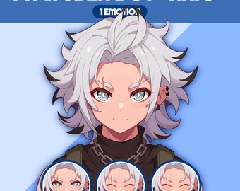 Male PNGTuber Model | Premade PNGTuber Male | VeadoTube Model | Cute PNG Tuber Model | Vtuber Model, Twitch Avatar, GIFTuber, M03 - Akio