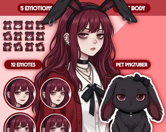 Modelo PNGTuber femenino / Chica PNGTuber prefabricada / Modelo VeadoTube / Modelo PNG Tuber lindo / Modelo Vtuber, Avatar de Twitch, GIFTuber, TF04 - Nomi