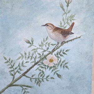 set of 4 original watercolor paintings of european song and garden birds signed by W. Bogsch (German)