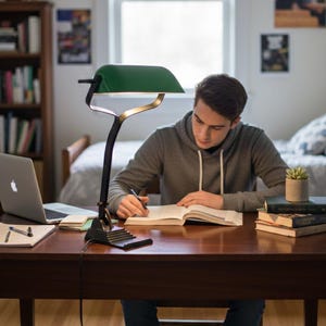K&ouml;nnte beinhalten: Eine Person sitzt an einem Holztisch, der von einer gr&uuml;n schattierten Schreibtischlampe beleuchtet wird. Ein Laptop und B&uuml;cher liegen auf dem Schreibtisch. Die Person tr&auml;gt einen grauen Kapuzenpullover und blaue Jeans und schreibt in ein Buch. Eine kleine Sukkulente steht in der N&auml;he.