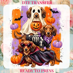 Peut inclure: Un transfert DTF représentant trois teckels en costumes d'Halloween : un déguisé en fantôme avec un seau citrouille, un en pull squelette avec un bandana à crânes, et un en cape de vampire avec des lunettes rouges, entourés de citrouilles et chauves-souris.