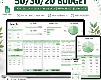 50/30/20 Budget Spreadsheet | Google Sheets Finance Tracker (Digital Download)