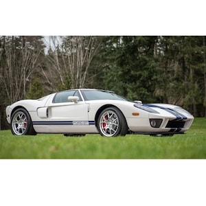 May include: A white Ford GT sports car featuring dual blue racing stripes running along the center of the hood and roof, with matching blue side stripes, silver multi-spoke wheels, and red brake calipers, positioned in a grassy outdoor area.