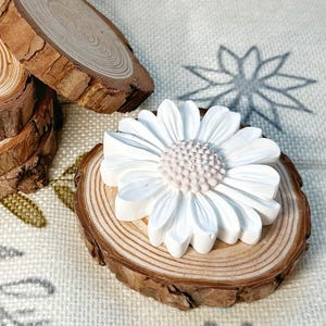 May include: A collection of wooden coasters, showing natural wood grain and bark edges. One coaster is topped with a white daisy with a pink centre. The coasters are displayed on patterned fabric.