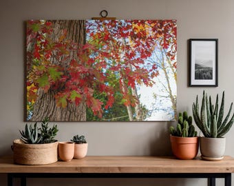 Herfstbladprint | Close-up herfstboomblad, seizoensdecor