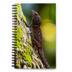 Puede incluir: Un cuaderno de espiral con una fotografía de alta resolución de un lagarto marrón con marcas moteadas trepando por un tronco de árbol texturizado cubierto de musgo verde brillante. El lagarto está colocado verticalmente, mirando hacia arriba.