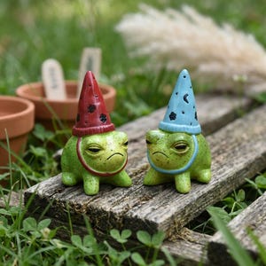 May include: Two green frog figurines with grumpy expressions, wearing wizard hats. One hat is red with black spots, the other is blue with a crescent moon and flower. They sit on a weathered wooden plank.