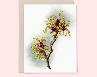 Witch Hazel Botanical Note Card - Illustration by Rose Soini