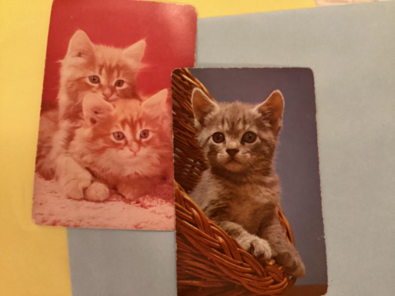 May include: Two vintage postcards featuring kittens. One shows two orange kittens on a red background. The other shows a gray kitten in a woven basket against a blue background. The kittens have large eyes and soft fur.