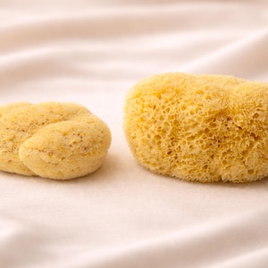 May include: Two natural sea sponges. One is a rounded shape, and the other is more oblong. Both are a light yellow colour and have a porous texture. The sponges are displayed on a white, textured surface.