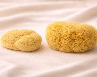 Conjunto de 2 esponjas marinhas gregas naturais – Duo para rosto e corpo | Esponja facial de seda + esponja de banho grande em formato de favo de mel | Presente ecológico para cuidados com a pele