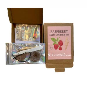 Peut inclure: Un kit de démarrage de graines de framboises dans une boîte en carton. Le kit comprend des fournitures de démarrage de graines et une étiquette rose avec le texte "RASPBERRY SEED STARTER KIT" et une illustration de framboise. La marque "ByLeoniBloom" est également visible.