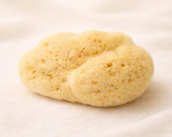 May include: A natural sea sponge with a light yellow color. The sponge has a porous texture and an irregular, cloud-like shape. It is likely used for bathing or cleaning.