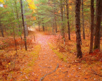 Fall Trail Photo