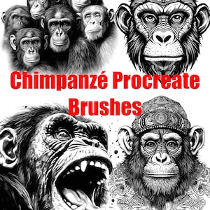 Puede incluir: Un conjunto gráfico digital con ilustraciones en blanco y negro de chimpancés en varias expresiones y estilos, incluyendo un retrato grupal y cabezas detalladas. El texto Chimpanzé Procreate Brushes se muestra en color rojo.