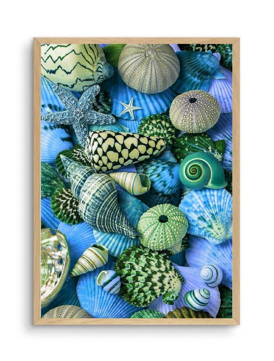 Framed Seashell Print – Blue Ocean Coastal Wall Art - Etsy