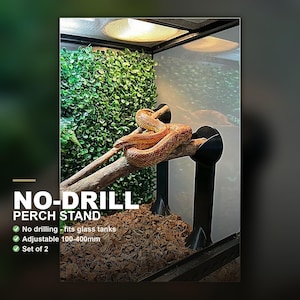 Set di 2 supporti per terrari senza foratura - Regolabili da 100 a 400 mm, da posizionare a terrario, per terrari in vetro e vivari bioattivi, senza viti.