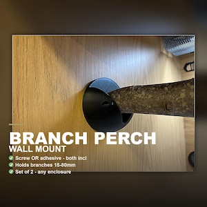 Reptile Branch Perch Wall Mount Set of 2 - Snake & Lizard Climbing Holder, Screw or Adhesive Fixing, Bioactive Vivarium Terrarium Accessory