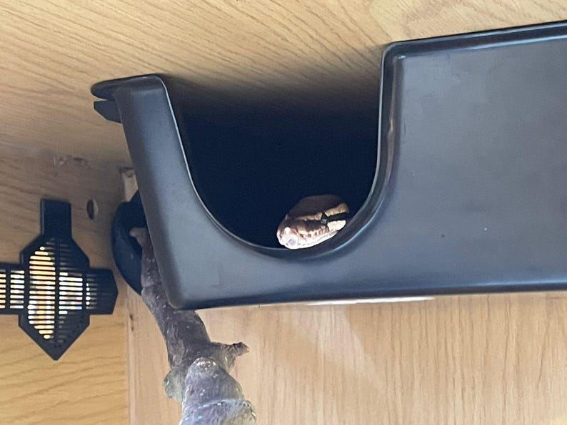 May include: A snake's head peeks out from a dark gray enclosure. The snake has a tan and brown pattern. A small branch is in the foreground, and a black ventilation grate is visible on the left.