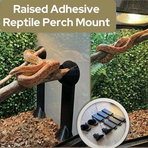Könnte beinhalten: Reptilien-Perch-Halterung mit dem Text "Raised Adhesive Reptile Perch Mount". Das Bild zeigt eine Schlange, die sich auf einem Ast windet, der von schwarzen Halterungen getragen wird. Eine Nahaufnahme zeigt die Klebehalterungen.