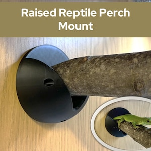 Op de afbeelding: Zwarte reptielen zitstokhouder met een natuurlijke tak. De houder is ontworpen om de tak stevig vast te houden en reptielen een comfortabele rustplaats te bieden. De tekst "Raised Reptile Perch Mount" wordt bovenaan de afbeelding weergegeven.