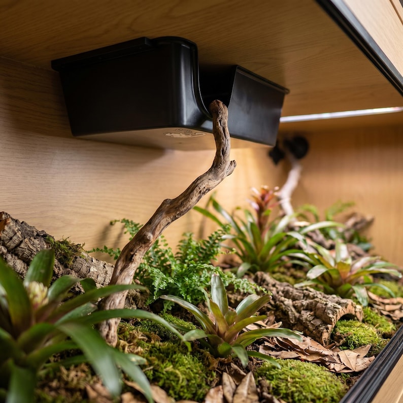 Elevated ceiling-mounted hide box freeing up the floor of a lush planted vivarium
