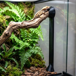 Kein Bohrer Reptile Barch Ständer 2er-Set - verstellbar 100-400 mm Boden Asthalter für Glastank & bioaktives Vivarium, ohne Schrauben