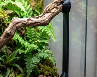 No Drill Reptile Perch Stand Set of 2 - Adjustable 100-400mm Floor Standing Branch Holder for Glass Tank & Bioactive Vivarium, No Screws