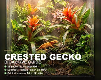Crested Gecko Bioactive Setup Guide | Printable Vivarium Build, Substrate, Plants & Clean-Up Crew | Reptile Terrarium PDF | Instant Download