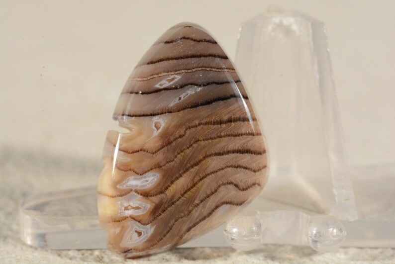 Ring Cabochon Hells Canyon Herringbone Petrified Wood Handcrafted USA Natural Gemstone.