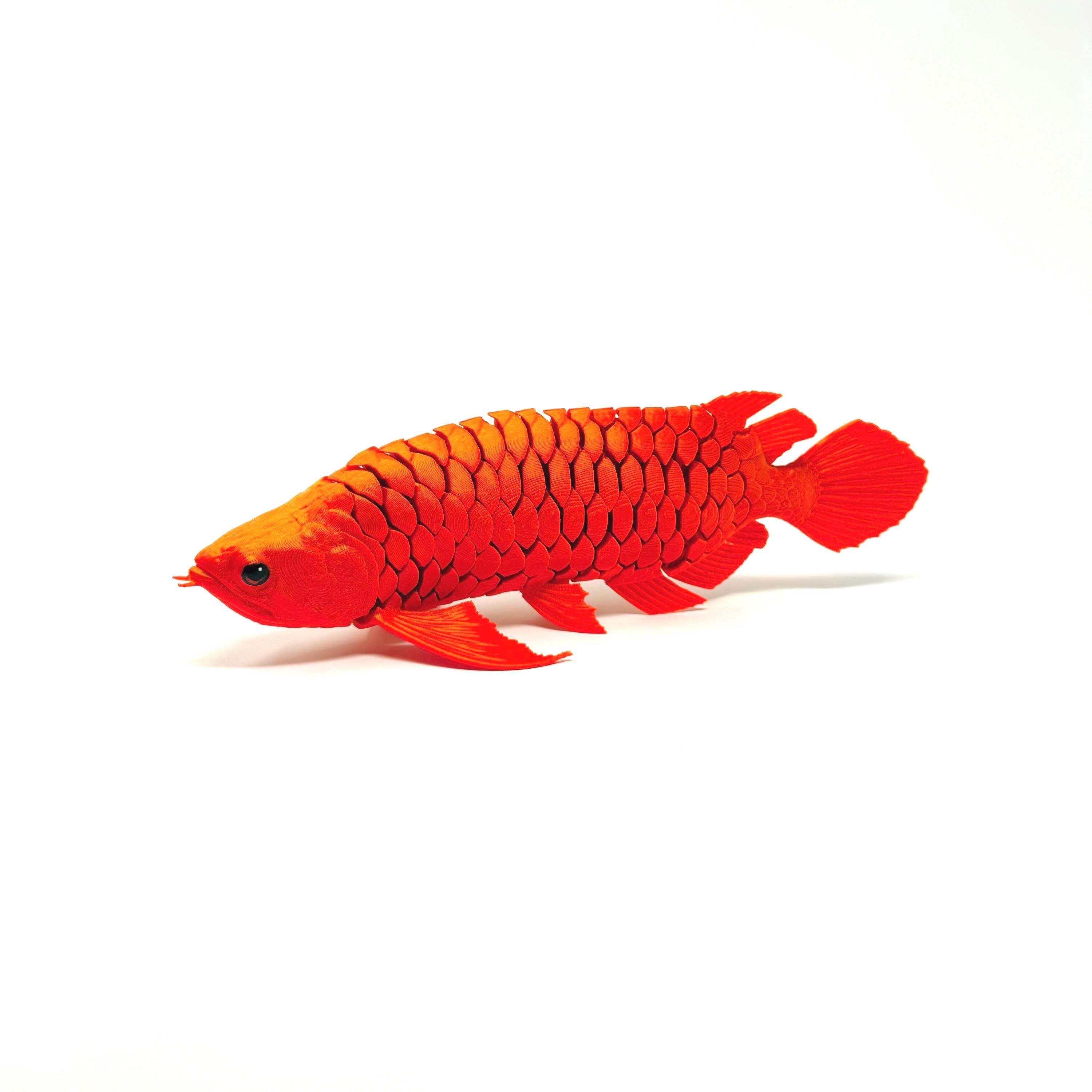 Arowana 3d Print Flexi Fish - Etsy