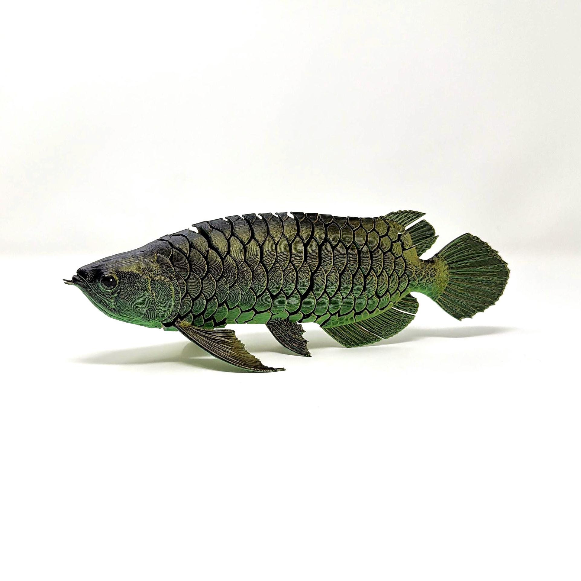Arowana 3d Print Flexi Fish - Etsy