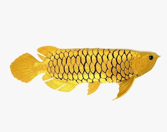 Giant Arowana 3d Print Flexi Fish