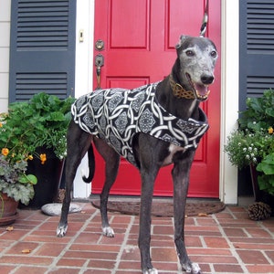 Greyhound Coat | Big Dog Coat | Dog Jacket | Various Sizes | Choose Your Size | Choose Your Fabric