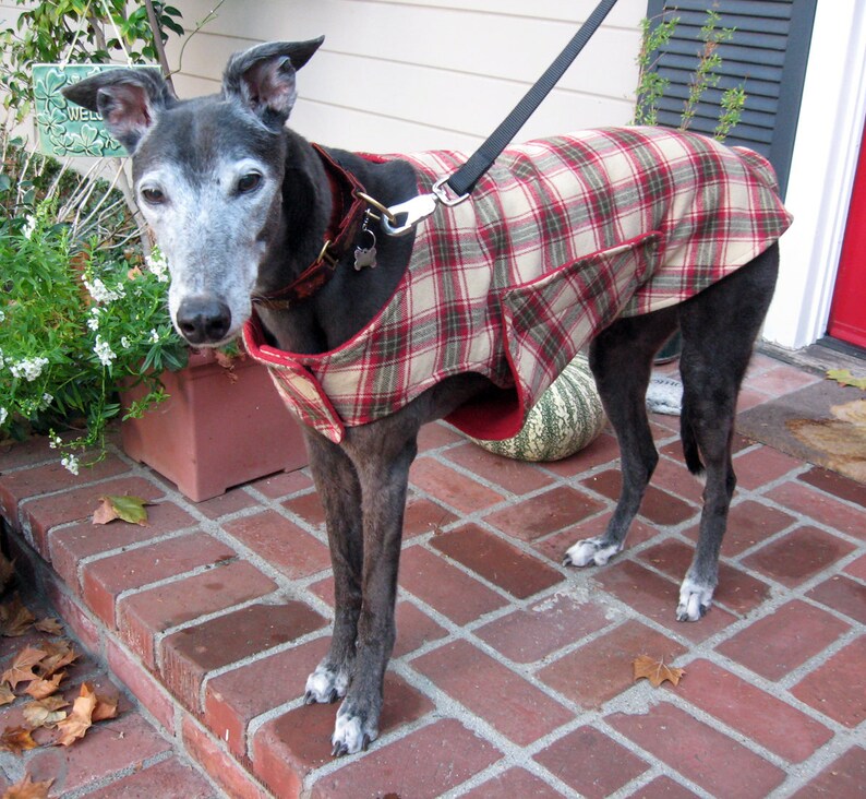 Custom Flannel Greyhound Coat Bespoke Greyhound Coat Dog Etsy New Zealand