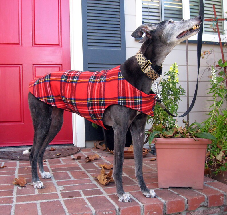 Greyhound Coat XL Dog Jacket Dog Coat Red Blue Black Etsy