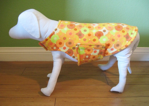 Extra small top dog jackets