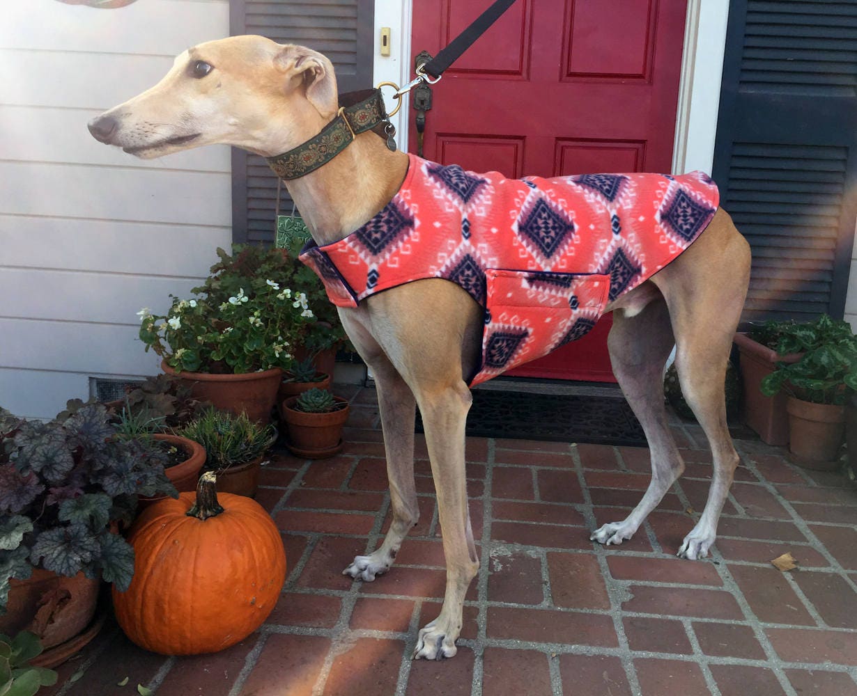 Greyhound Dog Coat XL Dog Coat Big Dog Jacket Southwest Etsy