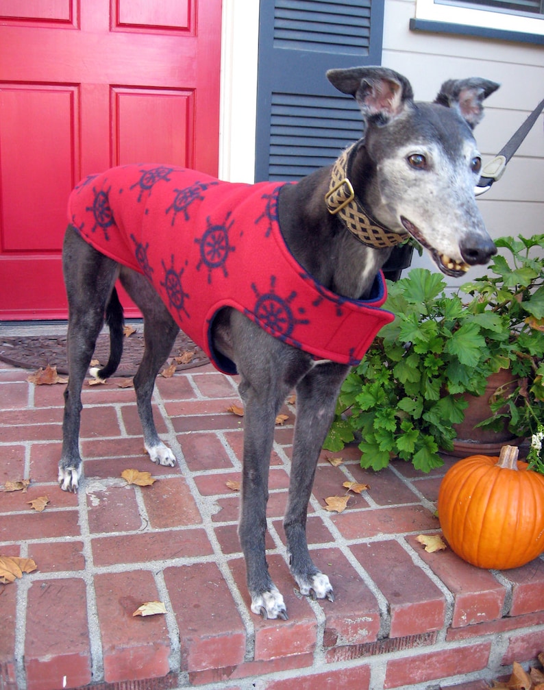 Custom Fleece Greyhound Coat Bespoke Dog Coat Extra Large Etsy