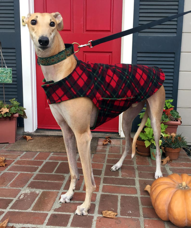 Custom Fleece Greyhound Coat Bespoke Dog Coat Extra Large Etsy