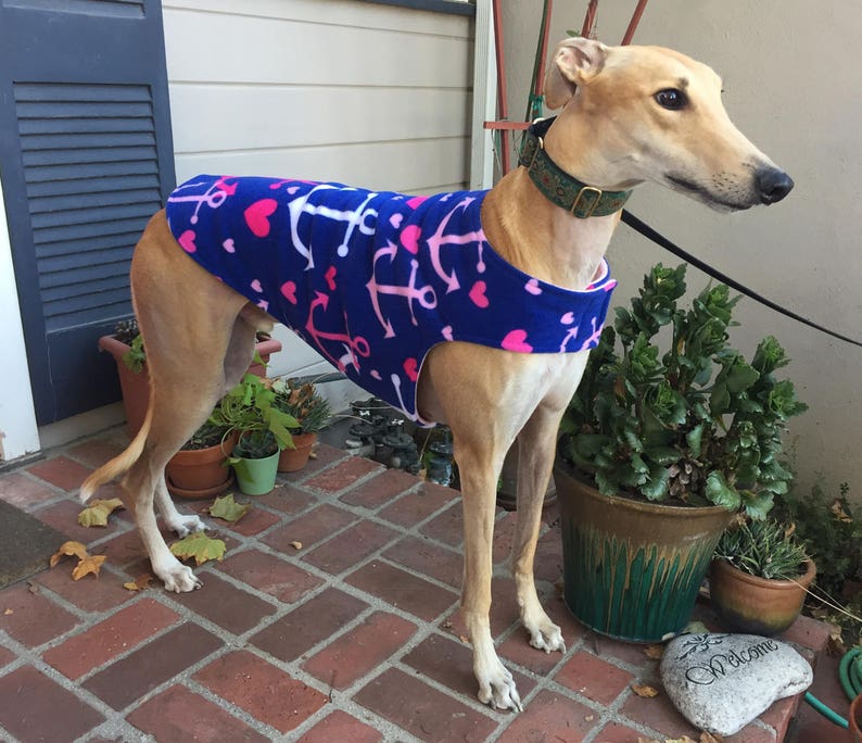 Custom Fleece Greyhound Coat Bespoke Dog Coat Extra Large Etsy