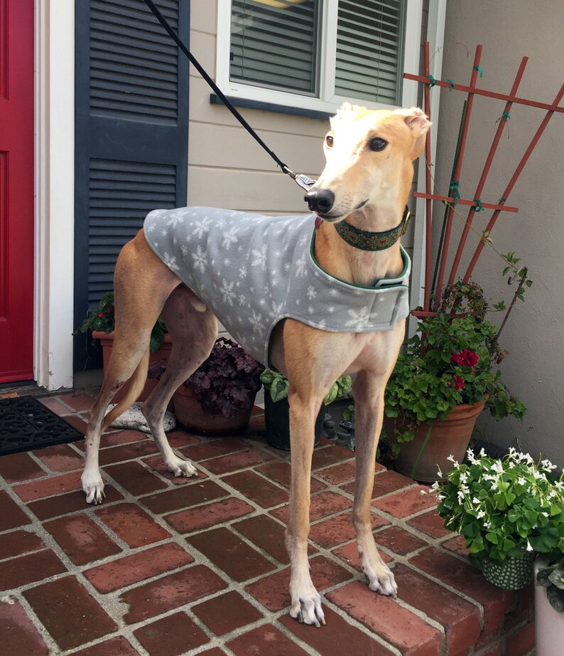 Greyhound Coat Extra Large Dog Coat Dog Jacket Dove Gray, & White Snowflake Print Fleece with Hunter Green Fleece Lining image 5