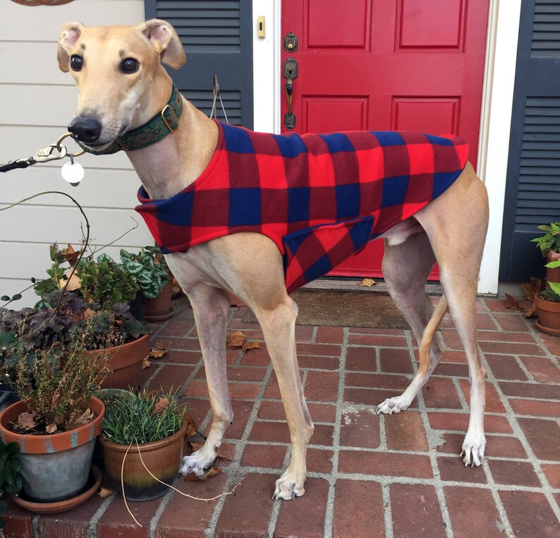 Greyhound Coat Dog Coat XL Dog Jacket Red and Navy Etsy